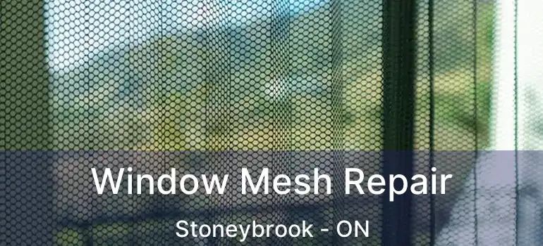  Window Mesh Repair Stoneybrook - ON