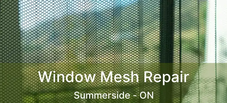  Window Mesh Repair Summerside - ON