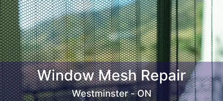  Window Mesh Repair Westminster - ON