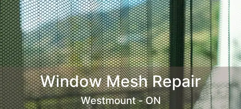  Window Mesh Repair Westmount - ON