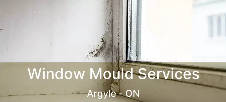  Window Mould Services Argyle - ON
