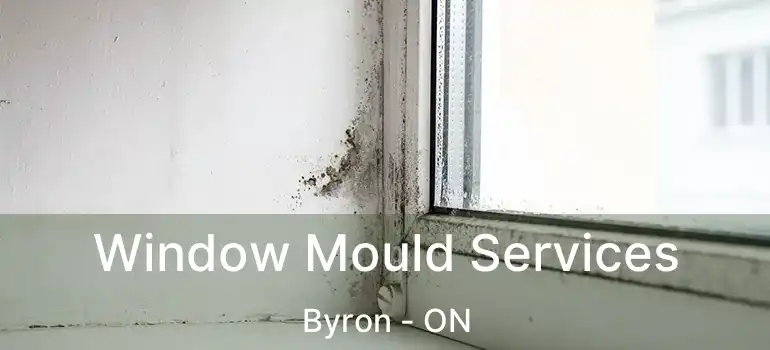  Window Mould Services Byron - ON