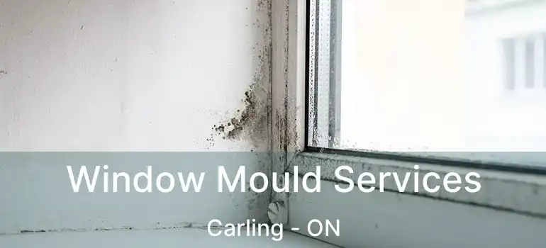  Window Mould Services Carling - ON