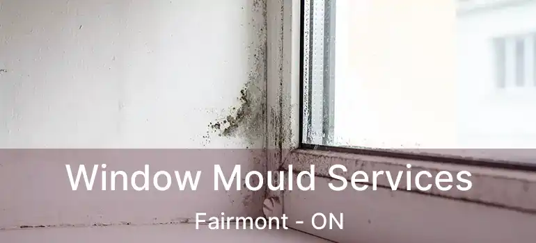 Window Mould Services Fairmont - ON