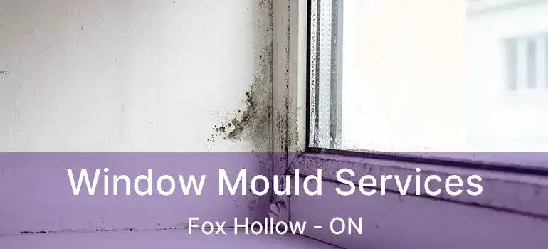  Window Mould Services Fox Hollow - ON