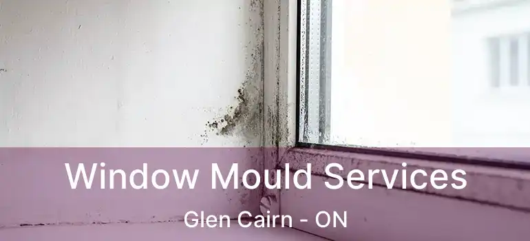  Window Mould Services Glen Cairn - ON