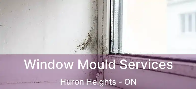  Window Mould Services Huron Heights - ON