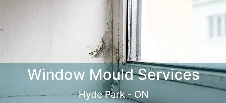  Window Mould Services Hyde Park - ON