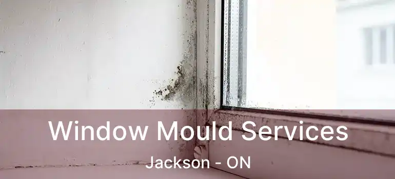  Window Mould Services Jackson - ON