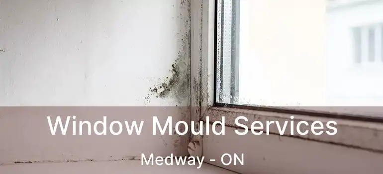  Window Mould Services Medway - ON