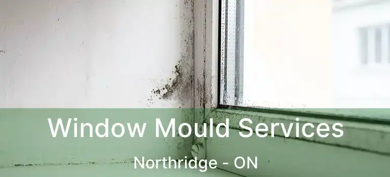  Window Mould Services Northridge - ON