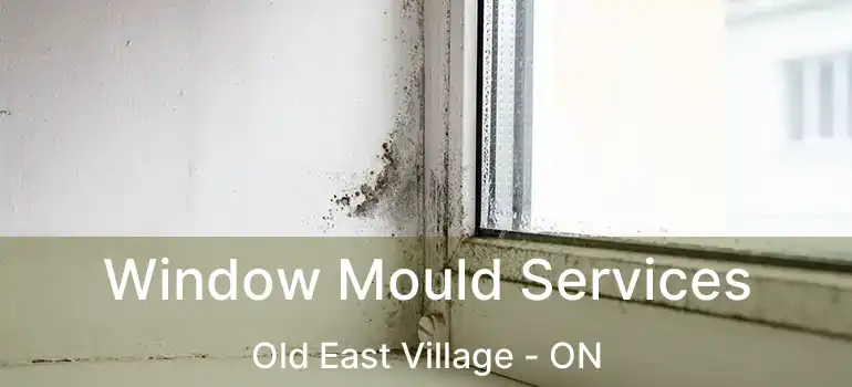  Window Mould Services Old East Village - ON