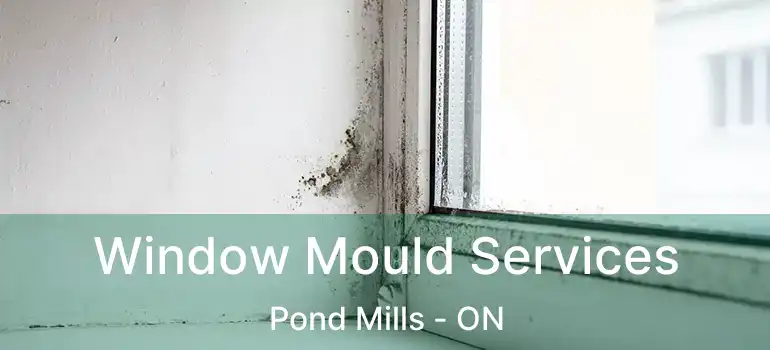  Window Mould Services Pond Mills - ON
