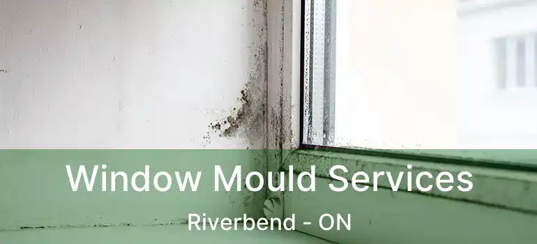  Window Mould Services Riverbend - ON