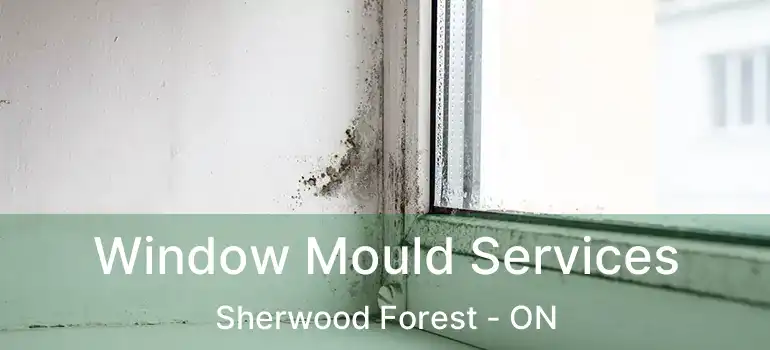  Window Mould Services Sherwood Forest - ON