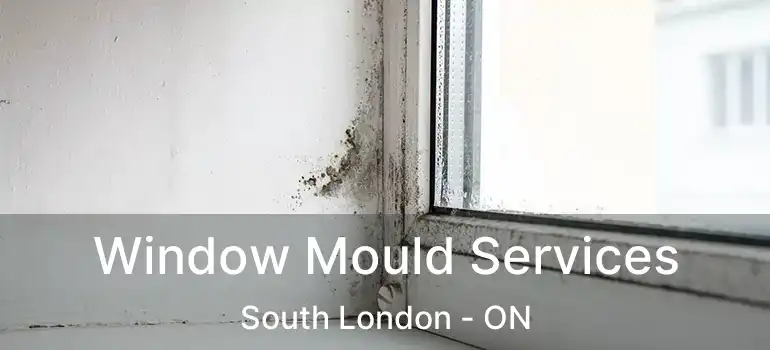  Window Mould Services South London - ON