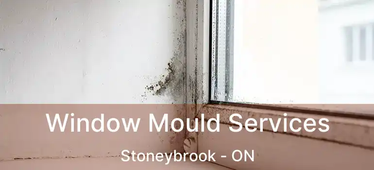  Window Mould Services Stoneybrook - ON