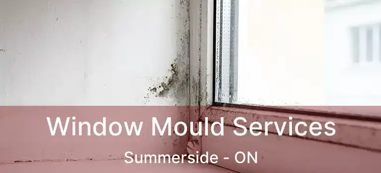  Window Mould Services Summerside - ON