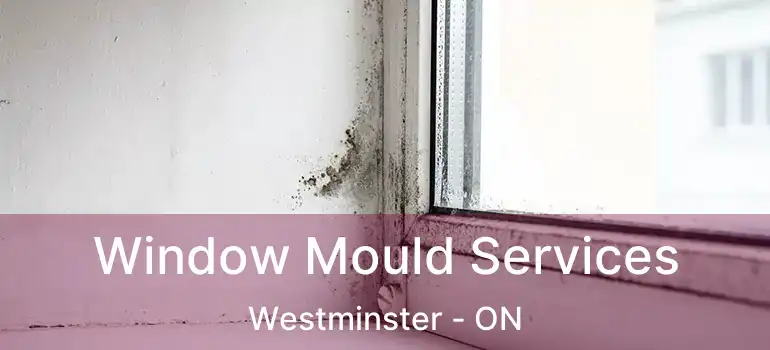  Window Mould Services Westminster - ON