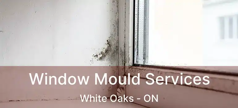  Window Mould Services White Oaks - ON