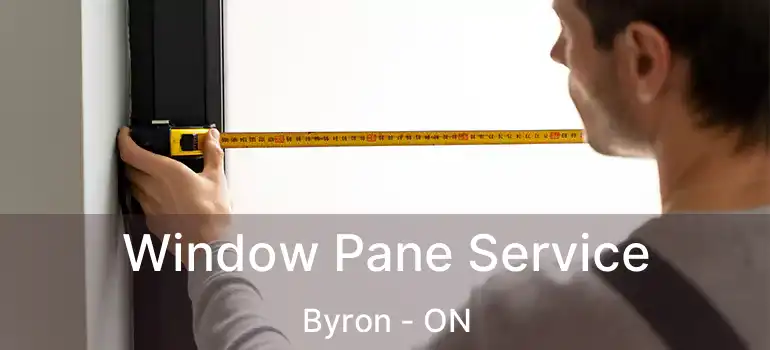  Window Pane Service Byron - ON