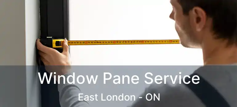  Window Pane Service East London - ON