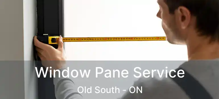  Window Pane Service Old South - ON