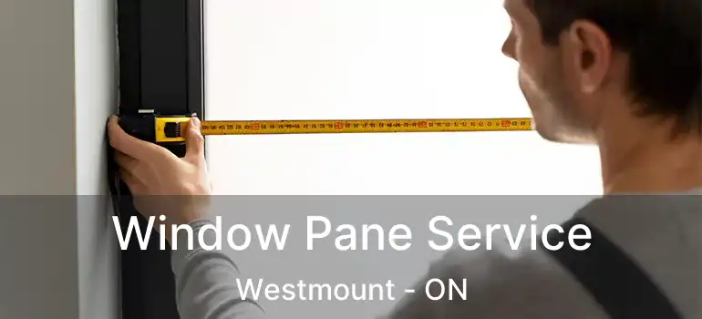  Window Pane Service Westmount - ON