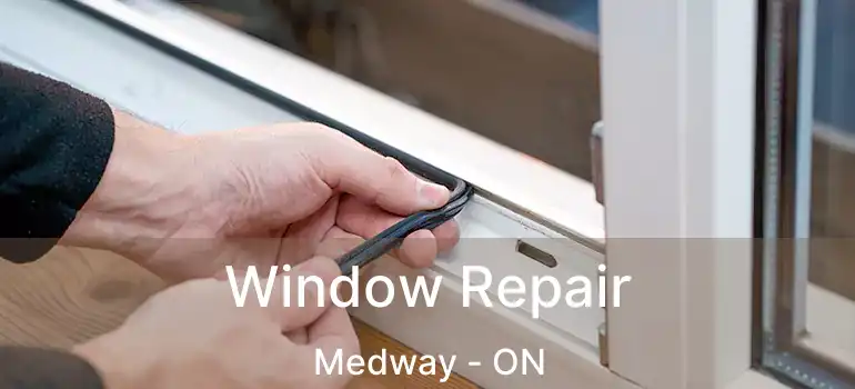  Window Repair Medway - ON