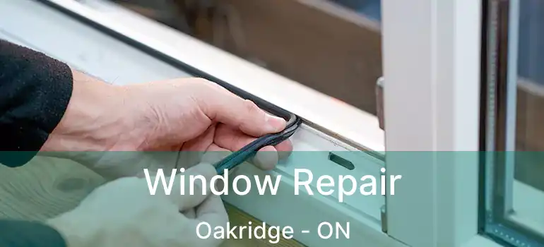  Window Repair Oakridge - ON