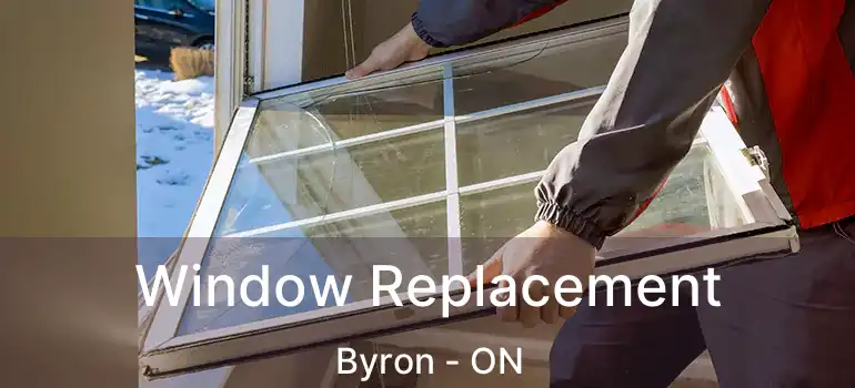  Window Replacement Byron - ON