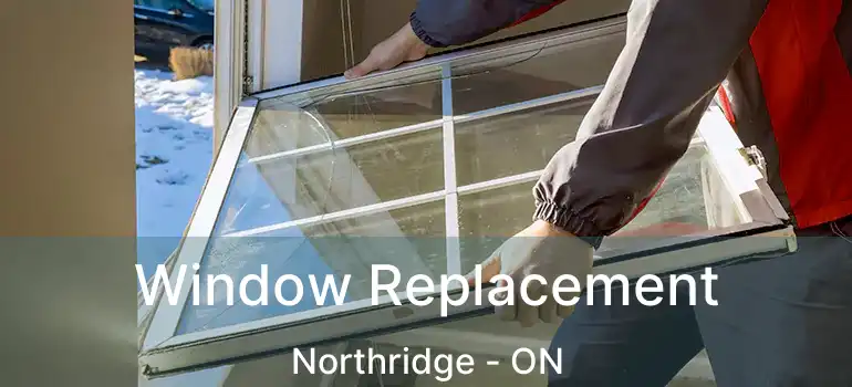 Window Replacement Northridge - ON