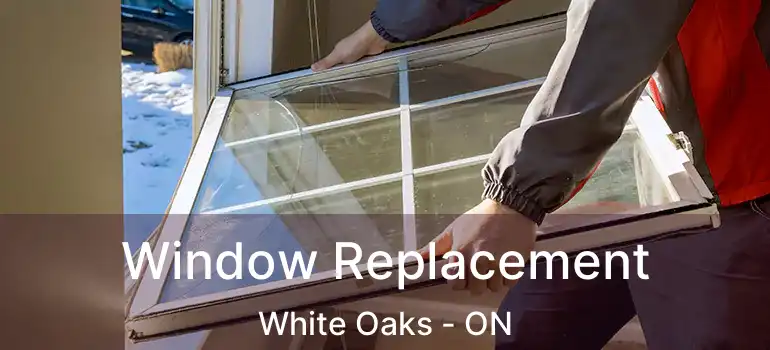  Window Replacement White Oaks - ON