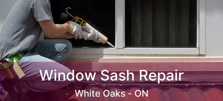 Window Sash Repair White Oaks - ON
