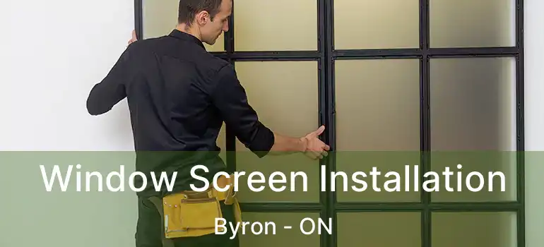 Window Screen Installation Byron - ON