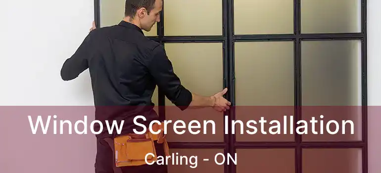  Window Screen Installation Carling - ON