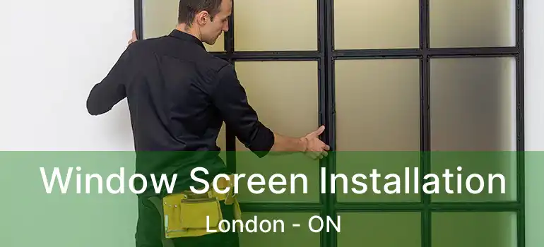  Window Screen Installation London - ON