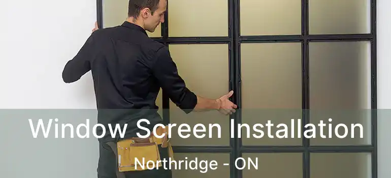  Window Screen Installation Northridge - ON