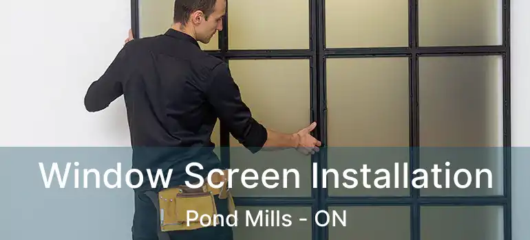  Window Screen Installation Pond Mills - ON
