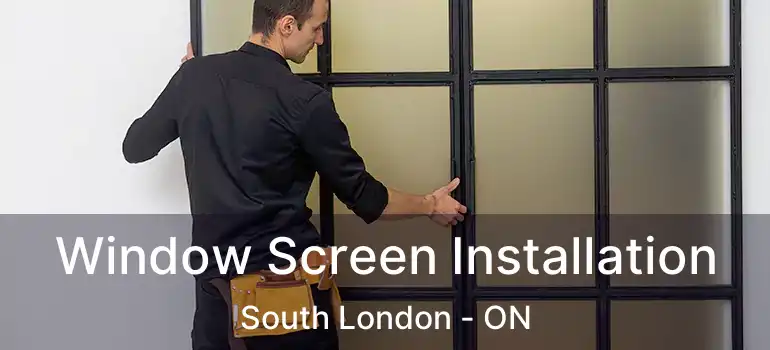  Window Screen Installation South London - ON