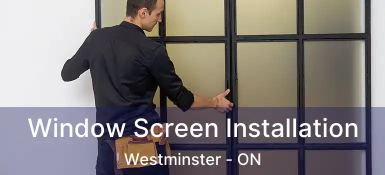  Window Screen Installation Westminster - ON