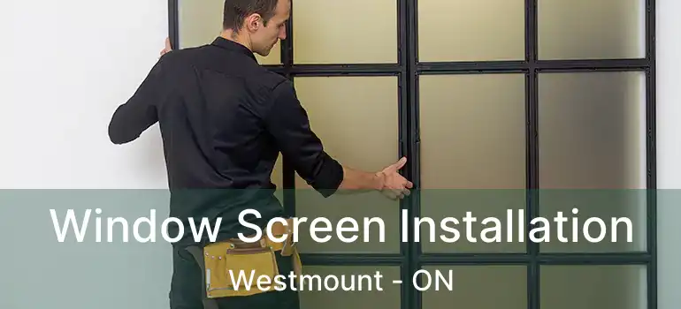  Window Screen Installation Westmount - ON