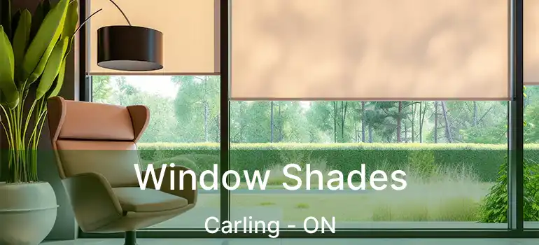  Window Shades Carling - ON