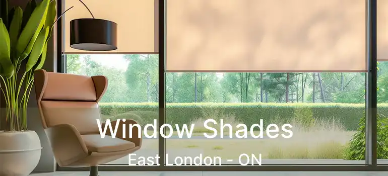  Window Shades East London - ON