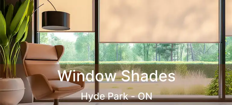  Window Shades Hyde Park - ON