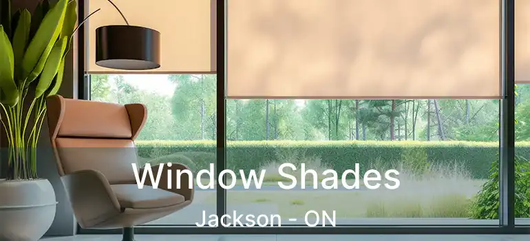  Window Shades Jackson - ON