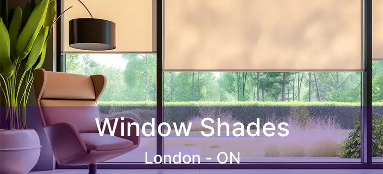 Window Shades London - ON