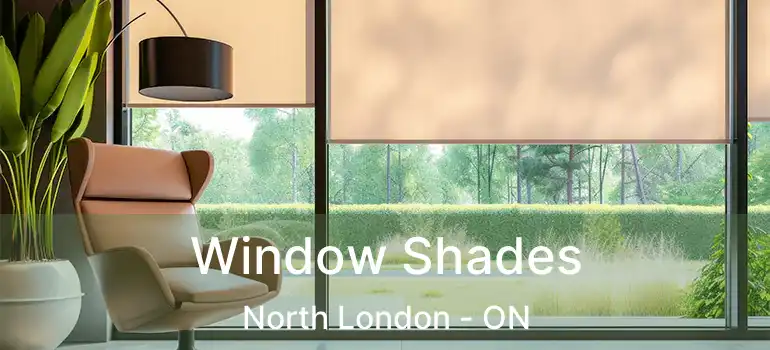  Window Shades North London - ON