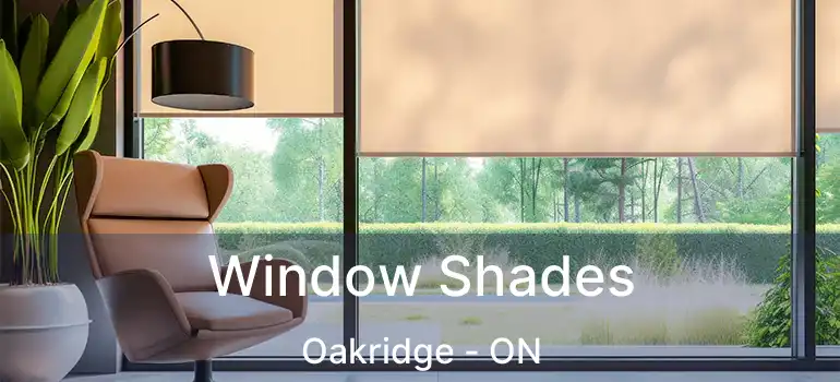  Window Shades Oakridge - ON