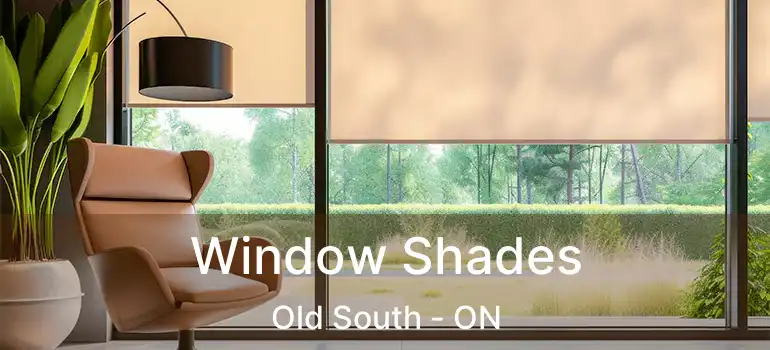  Window Shades Old South - ON